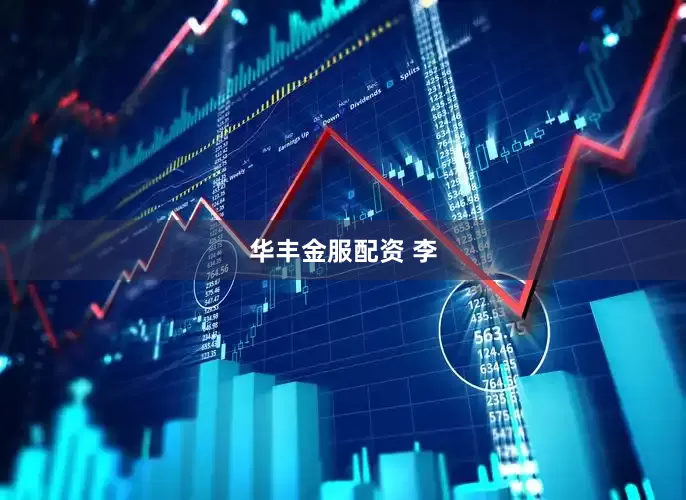 华丰金服配资 李