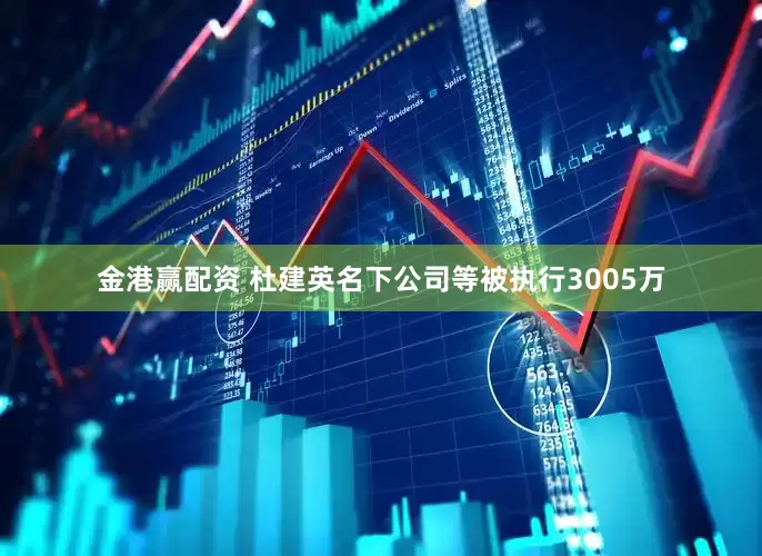 金港赢配资 杜建英名下公司等被执行3005万