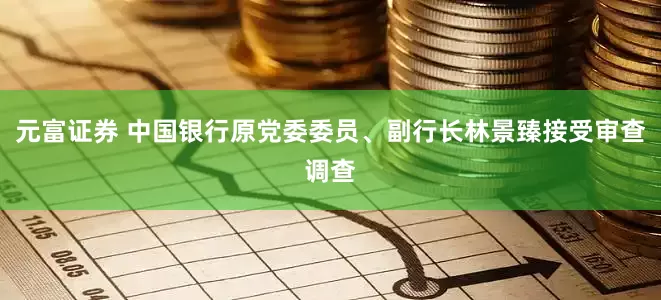 元富证券 中国银行原党委委员、副行长林景臻接受审查调查
